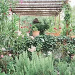 Bed & Breakfast Bacialupo Foresteria Montecalvo Versiggia