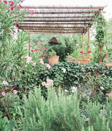 Bed & Breakfast Bacialupo Foresteria Montecalvo Versiggia
